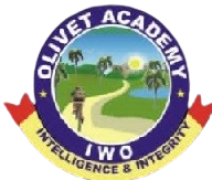 Olivet Academy 
